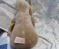 et back view